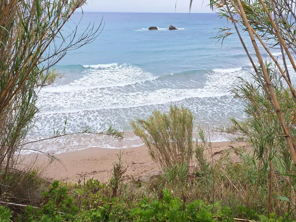 Land Of 4444 M² In Corfu