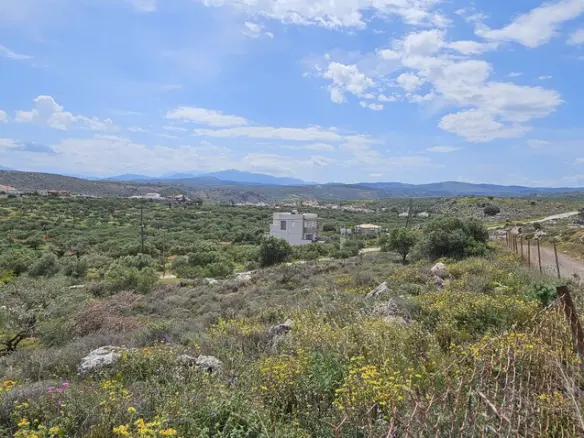 Land Of 2600 M² In Crete