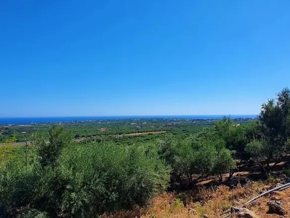 Land Of 8146 M² In Crete