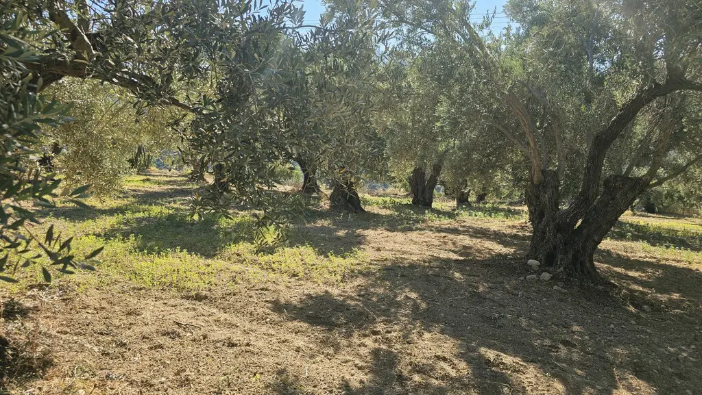 Detached House Of 49 M² In Crete