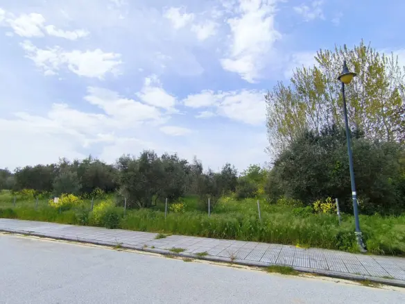 Land In Pidna, Greece