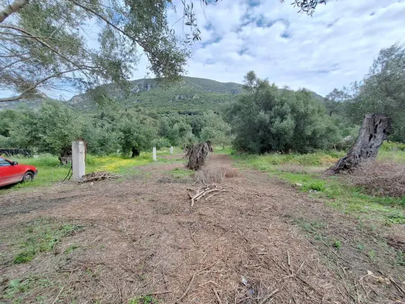 Land Of 7000 M² In Corfu