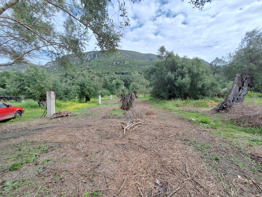 Land Of 7000 M² In Corfu