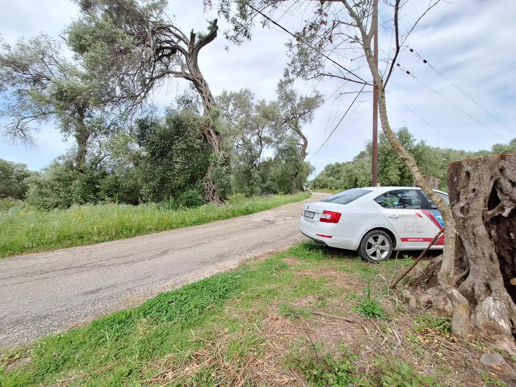 Land Of 7000 M² In Corfu