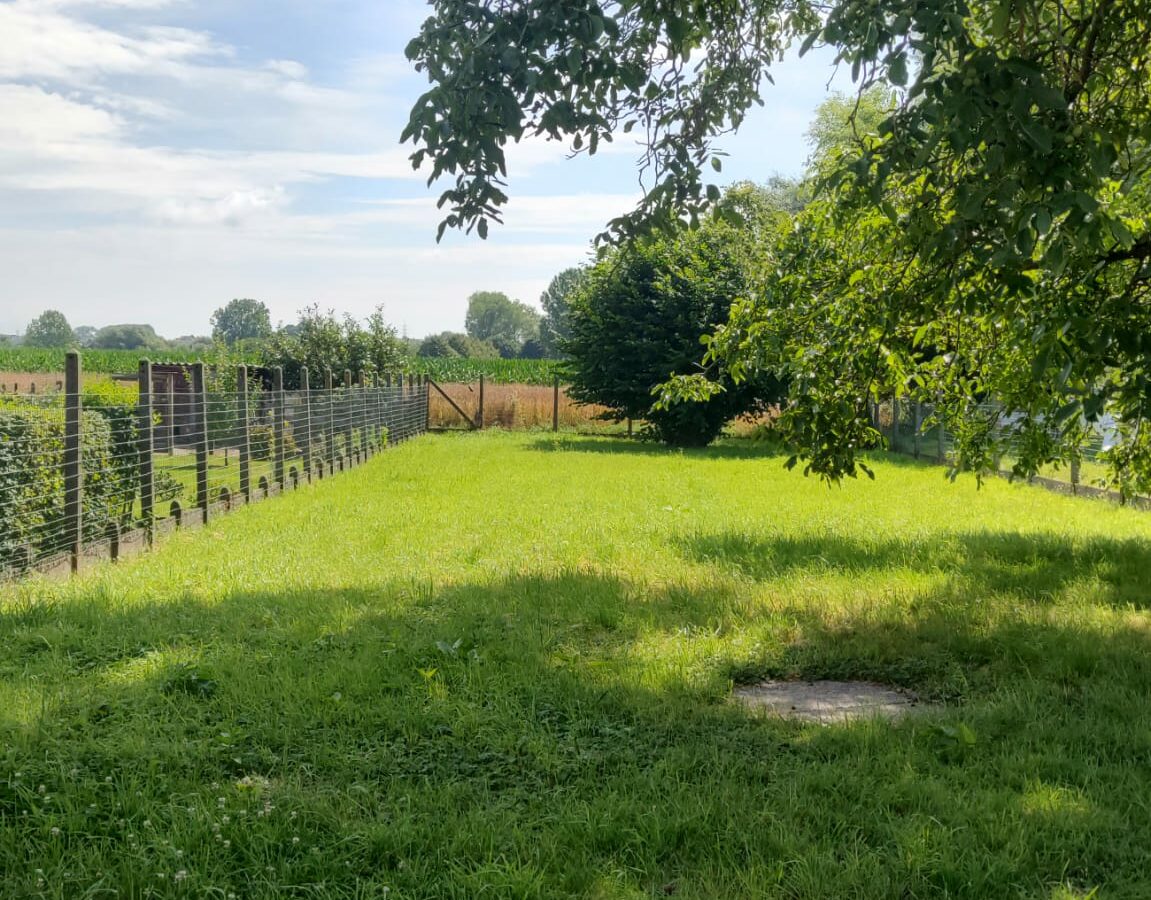 Spacious Family Home In A Quiet Area, Only About 15 Km From Brussels, With Large Garden, Parking, Attic And Basement,…