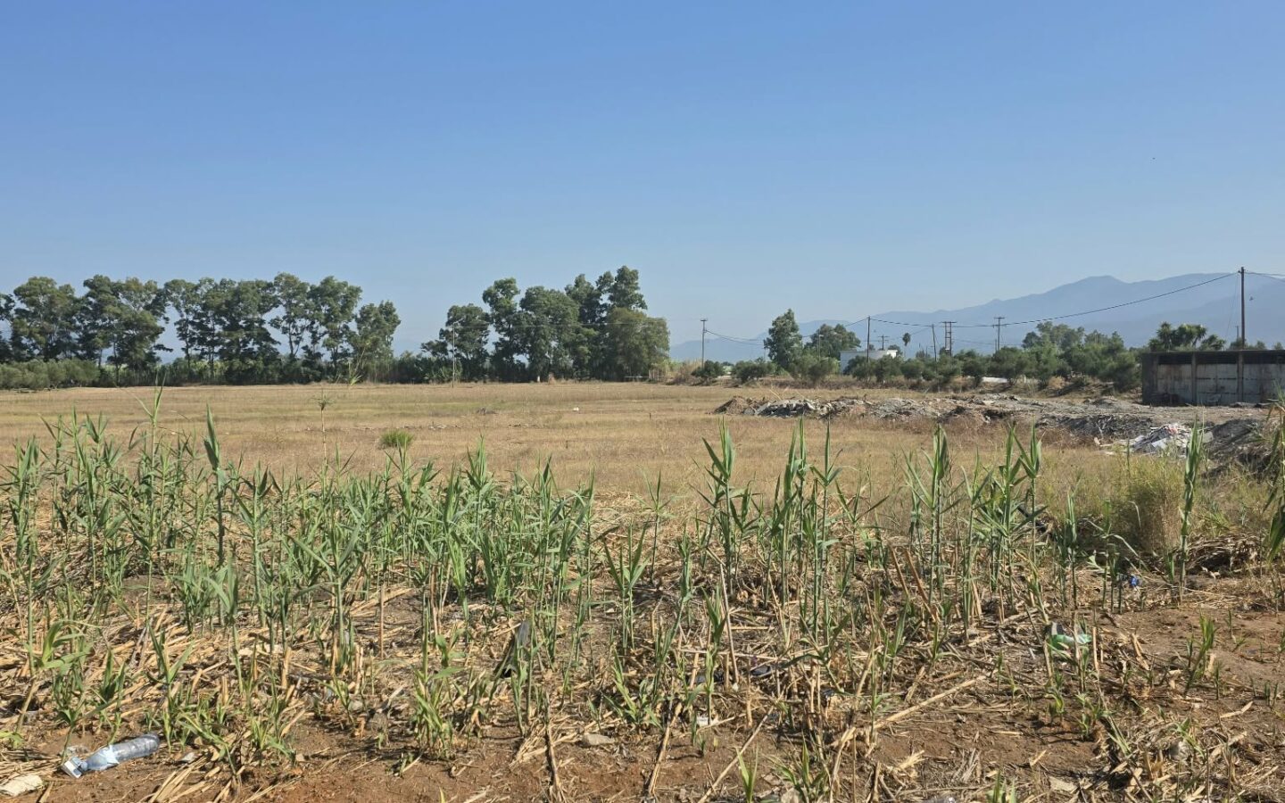 Plot Of 14,000 M² With Seafront Investment Opportunity In West Beach Kalamata
