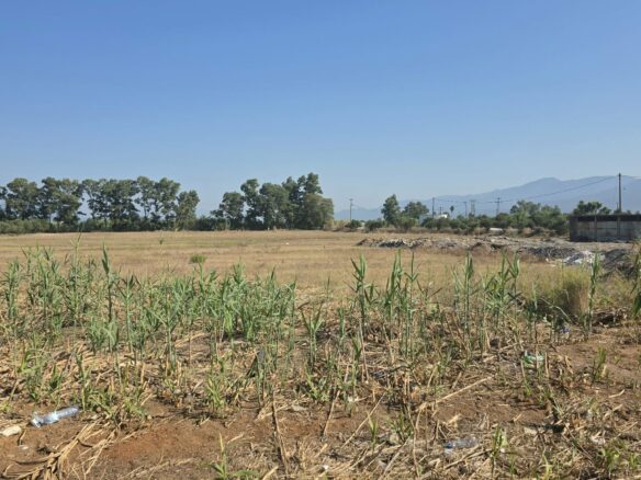 Plot Of 14,000 M² With Seafront Investment Opportunity In West Beach Kalamata