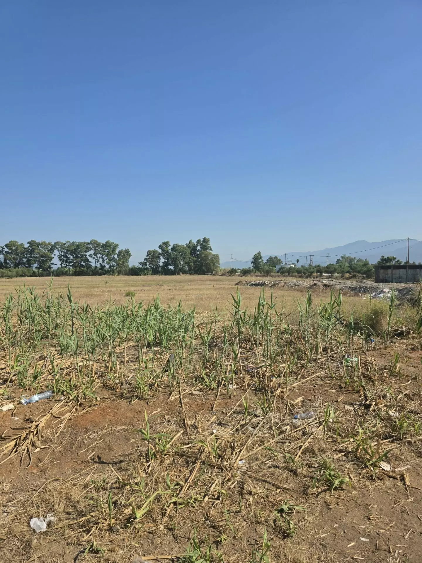 PL165 (1) Plot Of 14,000 M² With Seafront Investment Opportunity In West Beach Kalamata