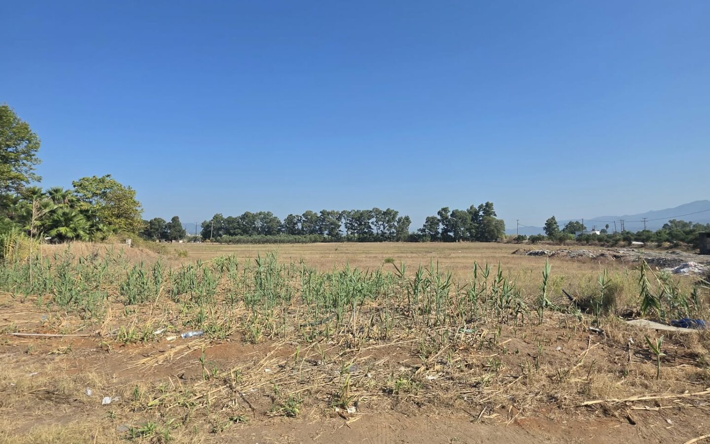 Plot Of 14,000 M² With Seafront Investment Opportunity In West Beach Kalamata
