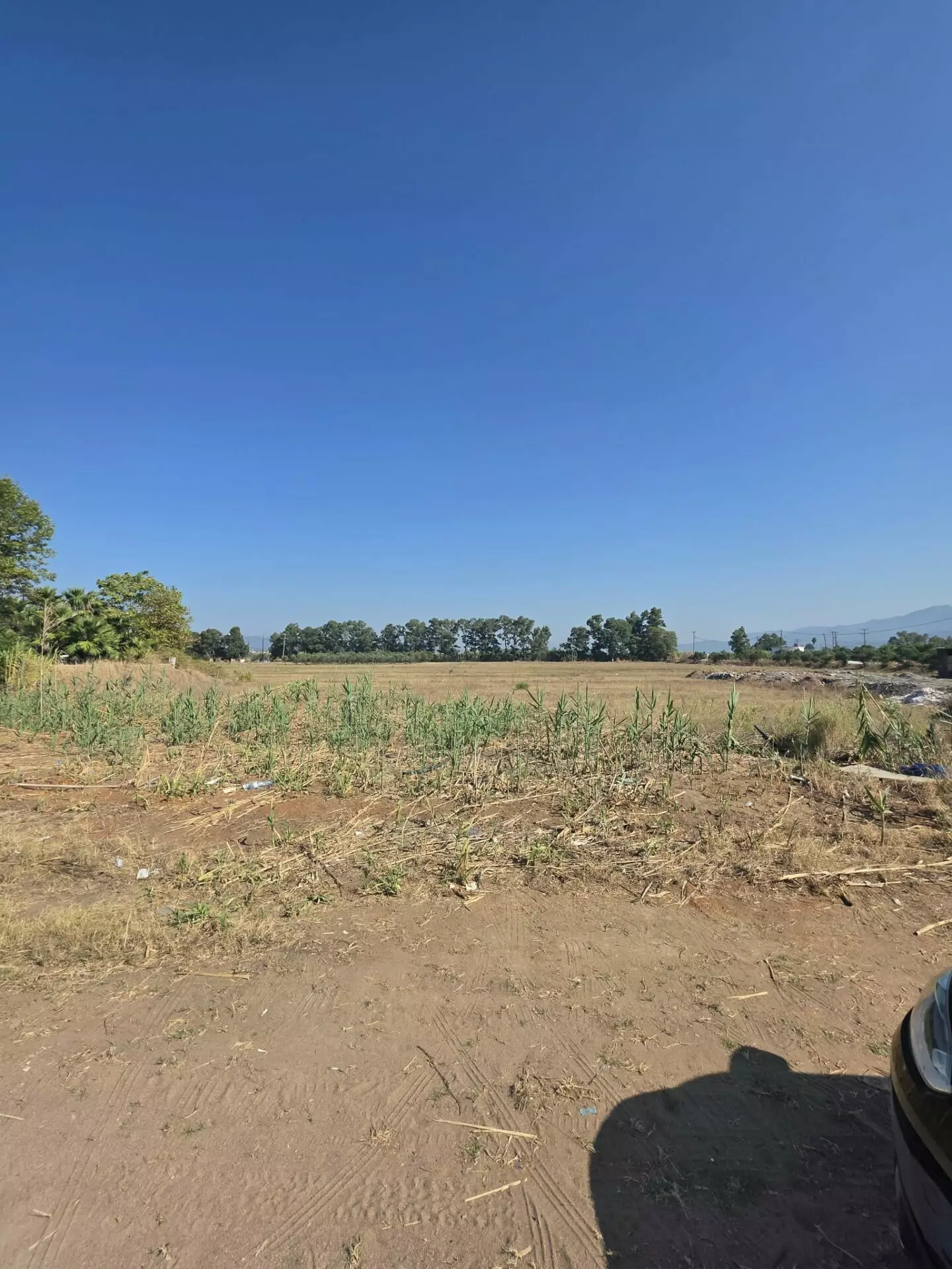 PL165 (3) Plot Of 14,000 M² With Seafront Investment Opportunity In West Beach Kalamata