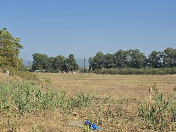 Plot Of 14,000 M² With Seafront Investment Opportunity In West Beach Kalamata