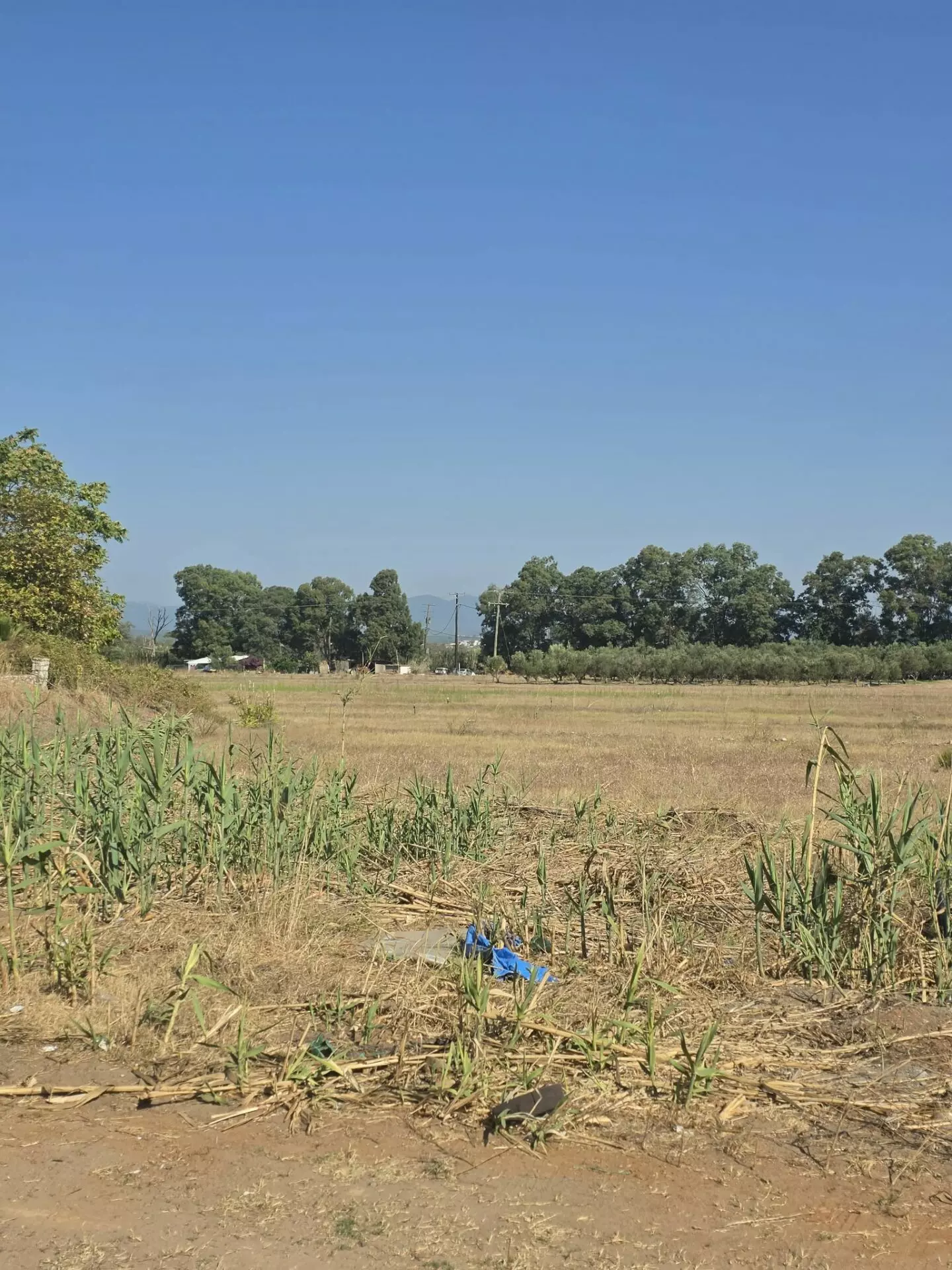 PL165 (4) Plot Of 14,000 M² With Seafront Investment Opportunity In West Beach Kalamata