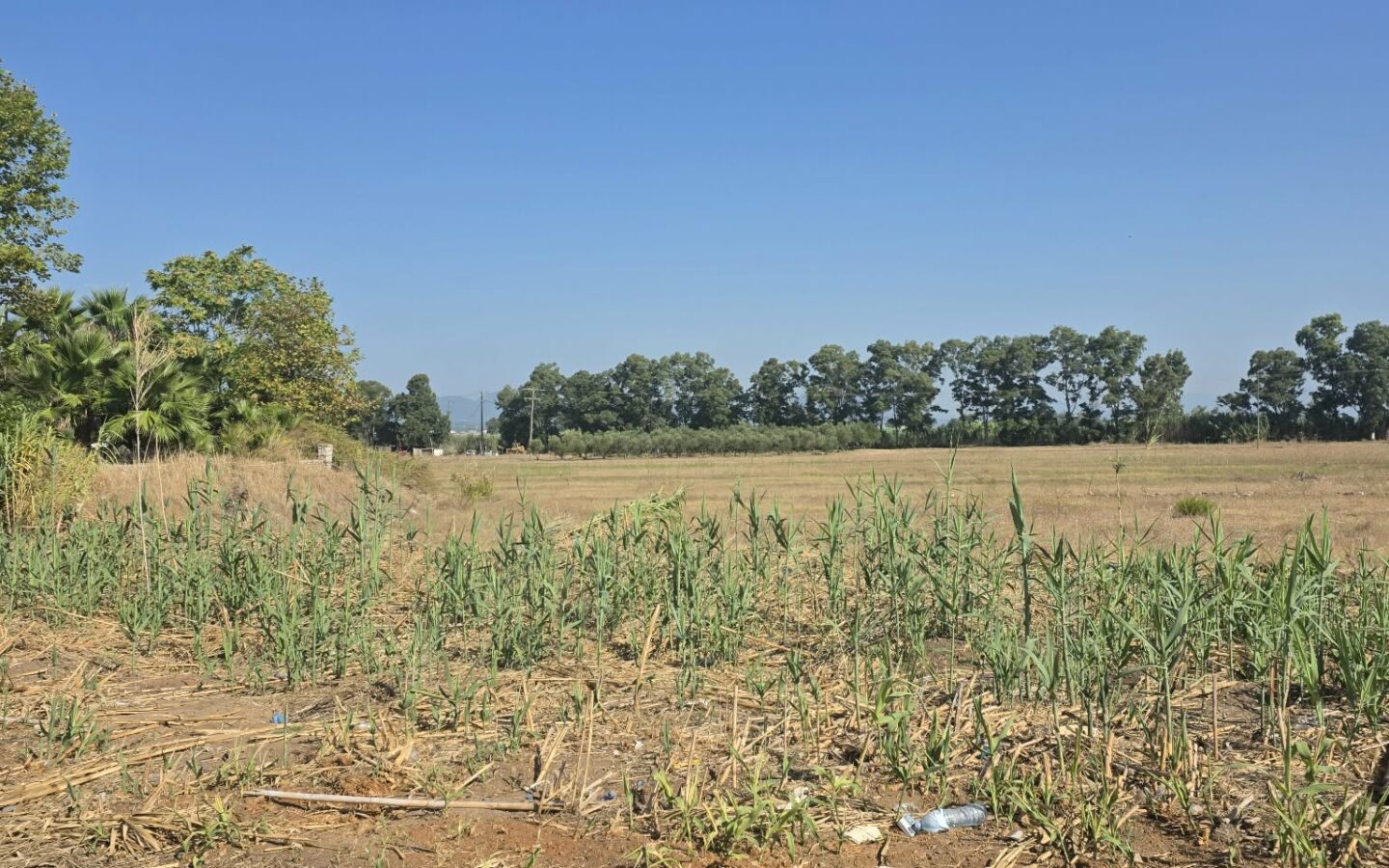Plot Of 14,000 M² With Seafront Investment Opportunity In West Beach Kalamata
