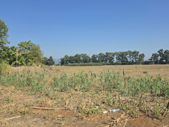 Plot Of 14,000 M² With Seafront Investment Opportunity In West Beach Kalamata