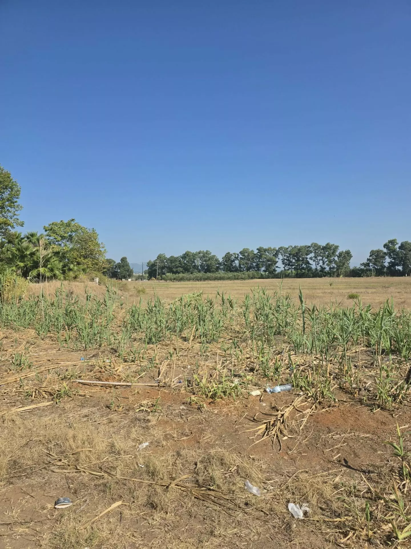 PL165 (6) Plot Of 14,000 M² With Seafront Investment Opportunity In West Beach Kalamata