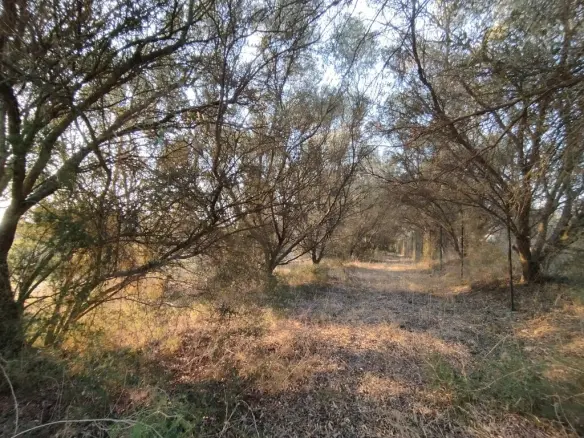 Land In Thermaikos, Greece