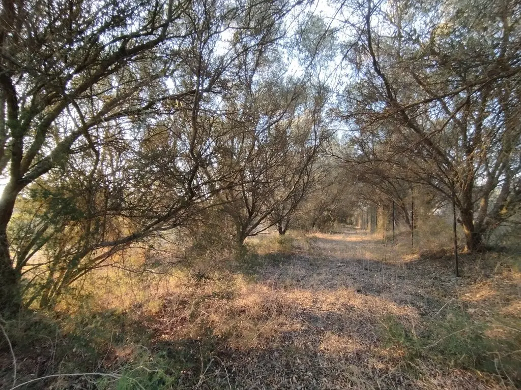 Land Of 825 M² In The Suburbs Of Thessaloniki