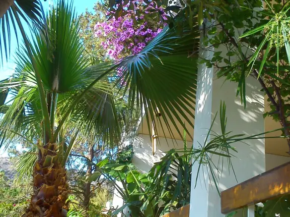 5-bedroom Detached House In Voula, Greece (483 M²)