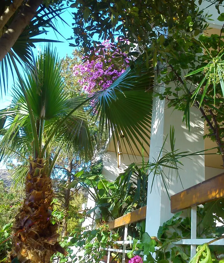 5-bedroom Detached House In Voula, Greece (483 M²)