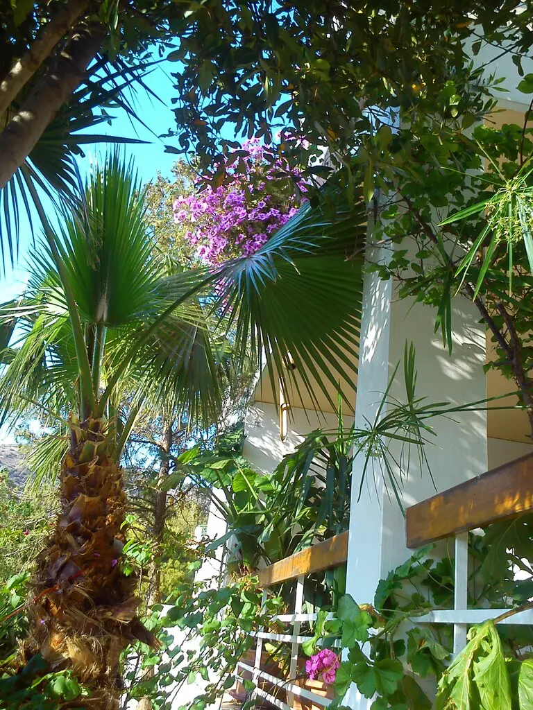 Detached House Of 483 M² In Athens