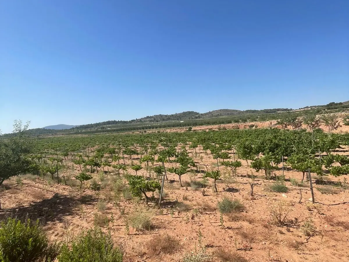 Land In &uacute;beda, Spain (37.000 M² Plot)