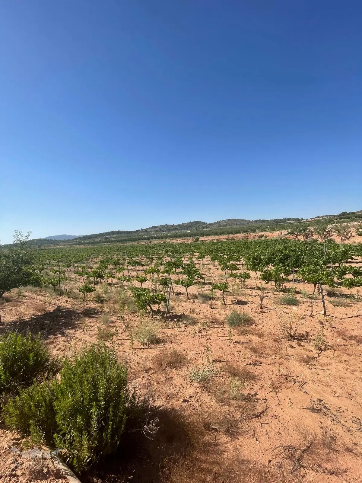 Land Of 0 M² In Úbeda, Spain
