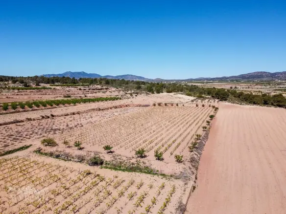 Land In &uacute;beda, Spain (37.000 M² Plot)