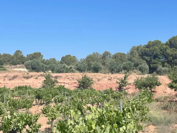 Land In &uacute;beda, Spain (37.000 M² Plot)