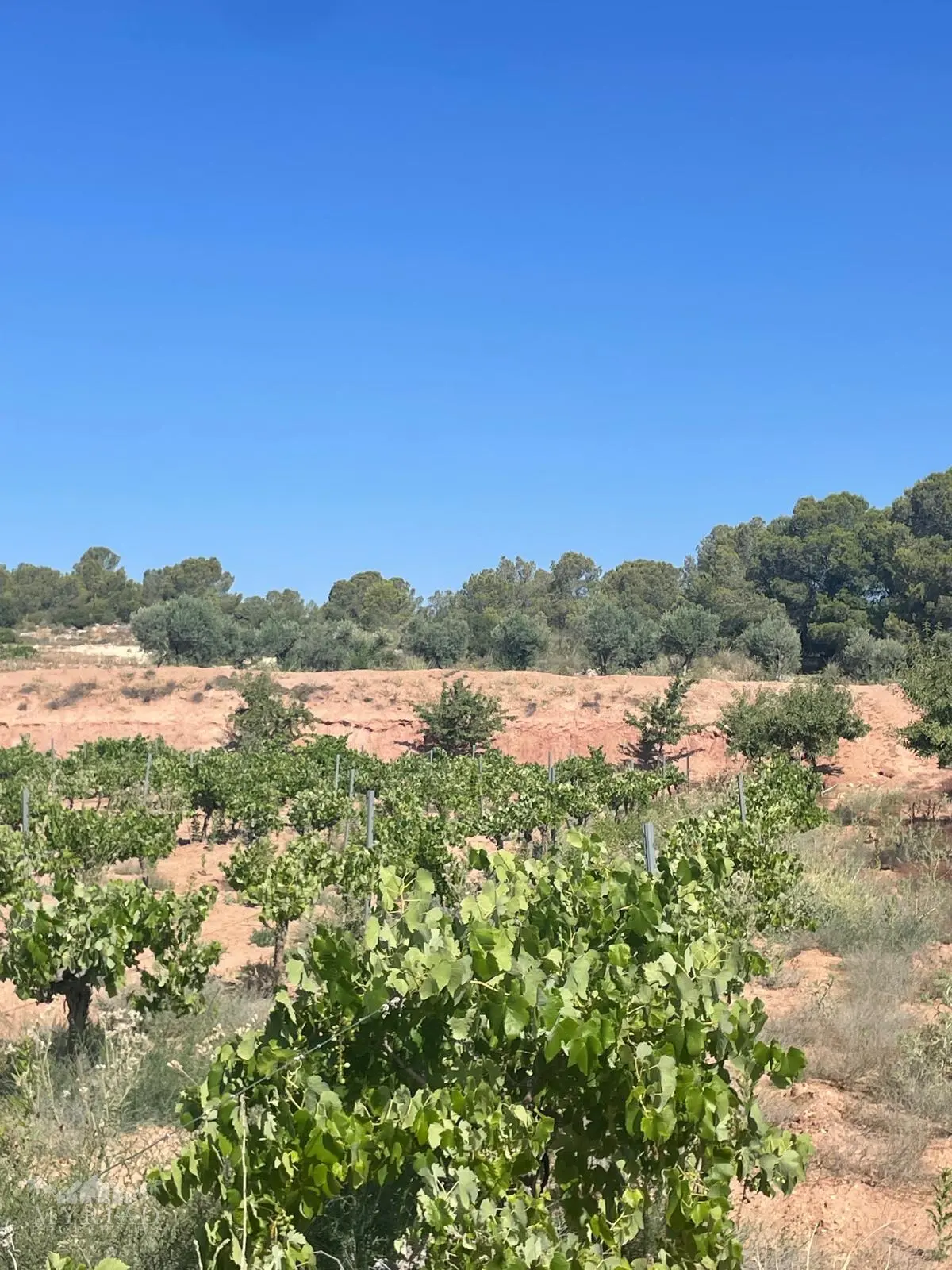Land Of 0 M² In Úbeda, Spain