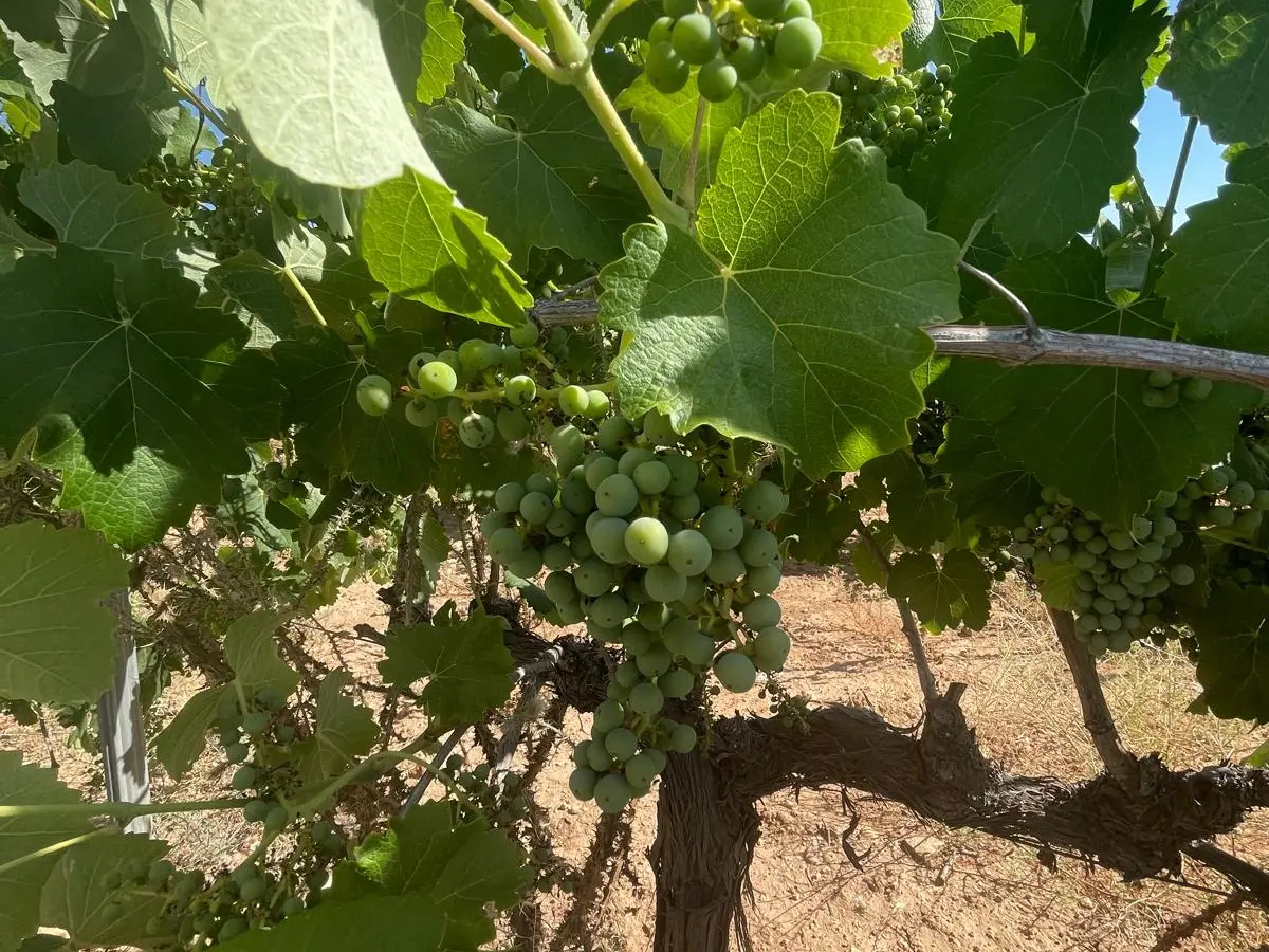 Land In &uacute;beda, Spain (37.000 M² Plot)