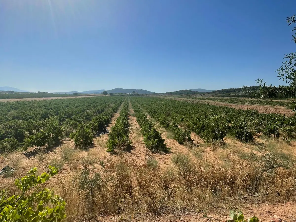 Land In &uacute;beda, Spain (37.000 M² Plot)