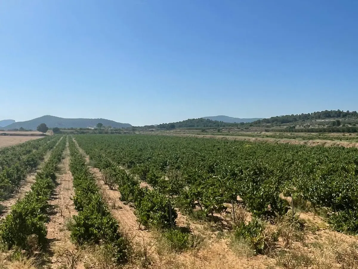 Land In &uacute;beda, Spain (37.000 M² Plot)