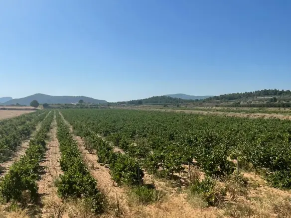 Land In &uacute;beda, Spain (37.000 M² Plot)