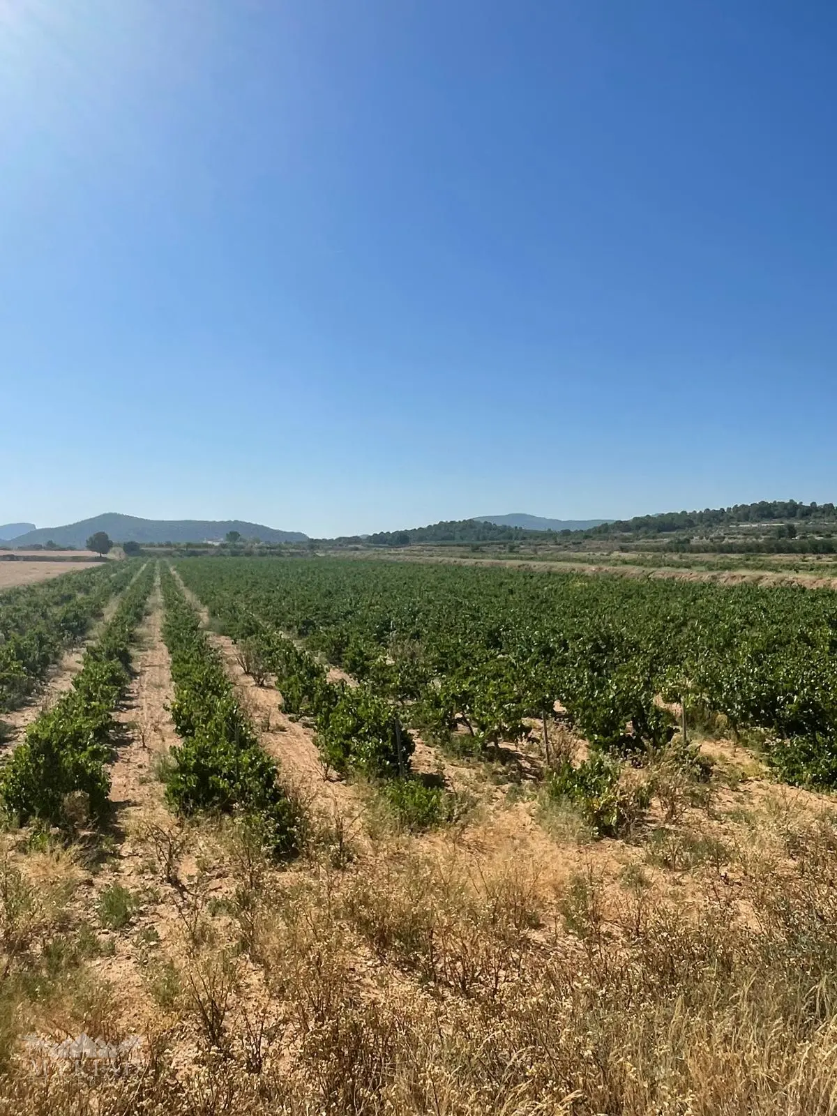 Land Of 0 M² In Úbeda, Spain