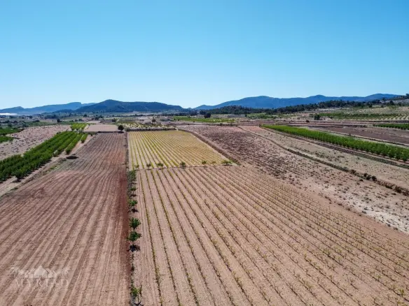 Land Of 0 M² In Úbeda, Spain
