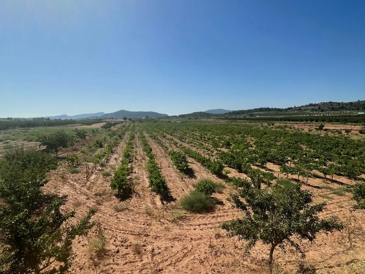 Land In &uacute;beda, Spain (37.000 M² Plot)