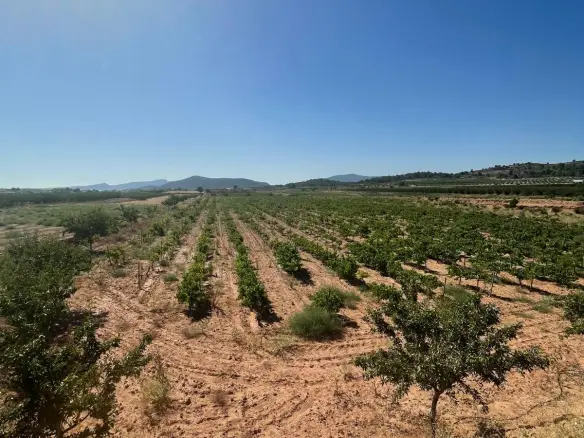 Land In &uacute;beda, Spain (37.000 M² Plot)