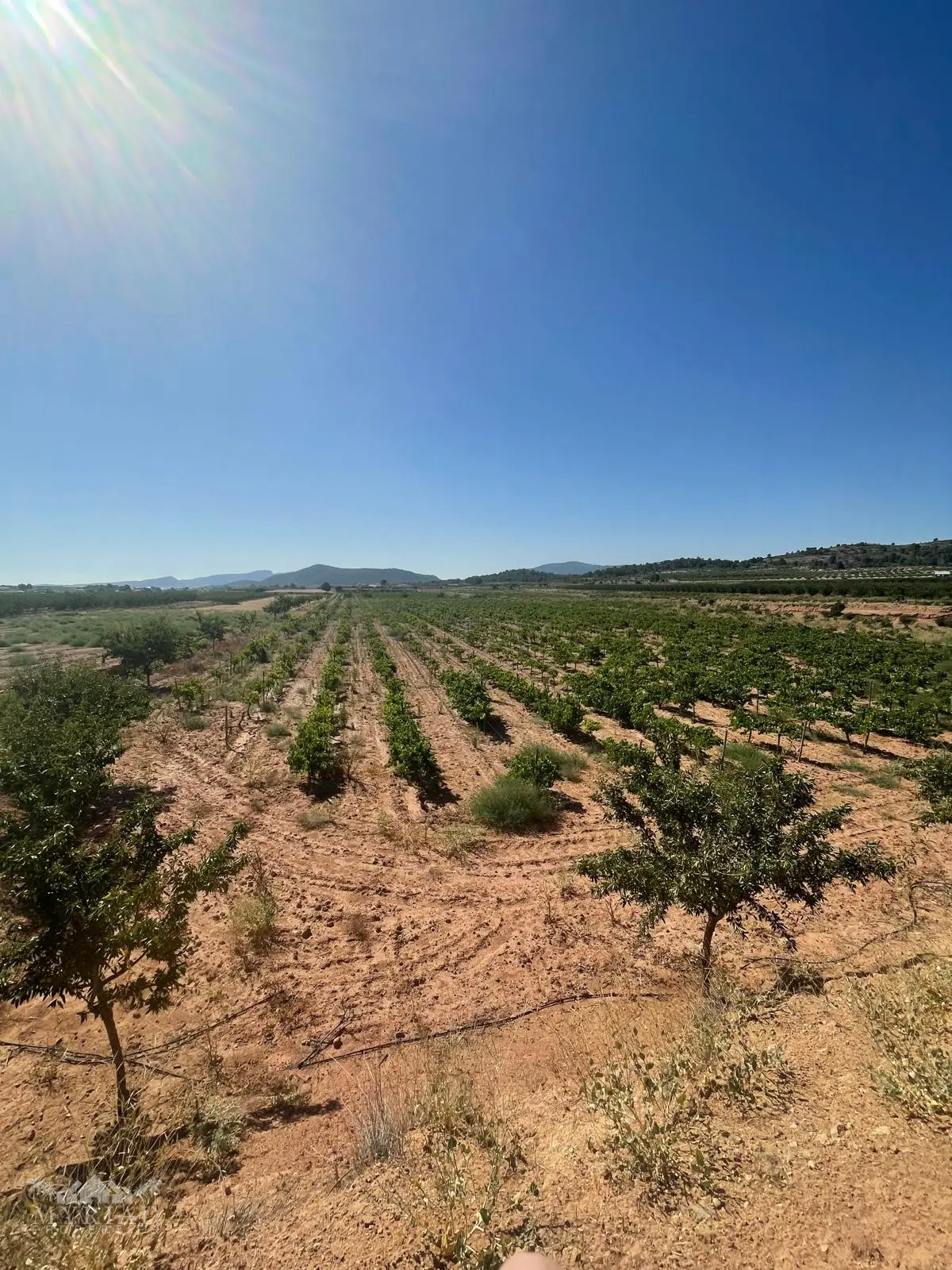 Land Of 0 M² In Úbeda, Spain