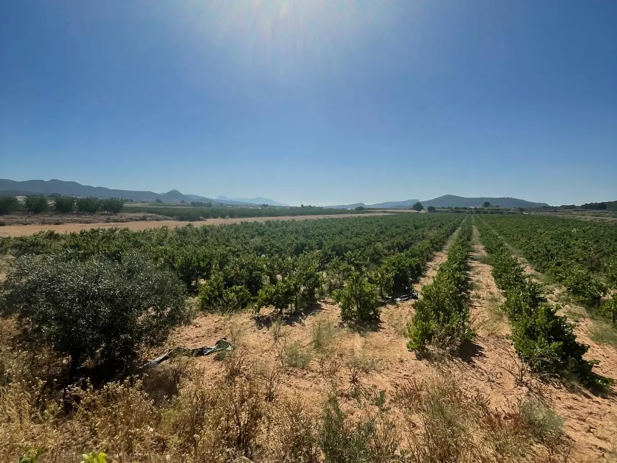 Land In &uacute;beda, Spain (37.000 M² Plot)