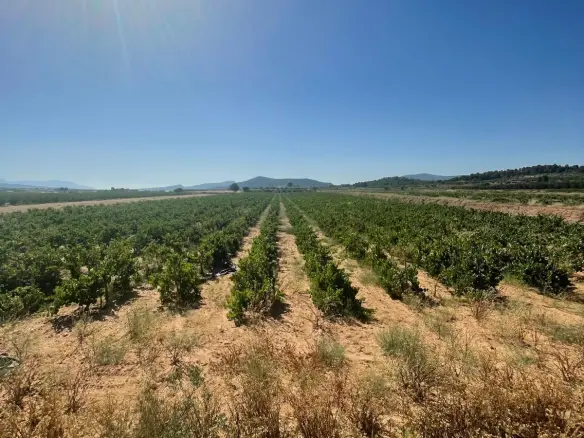 Land In &uacute;beda, Spain (37.000 M² Plot)