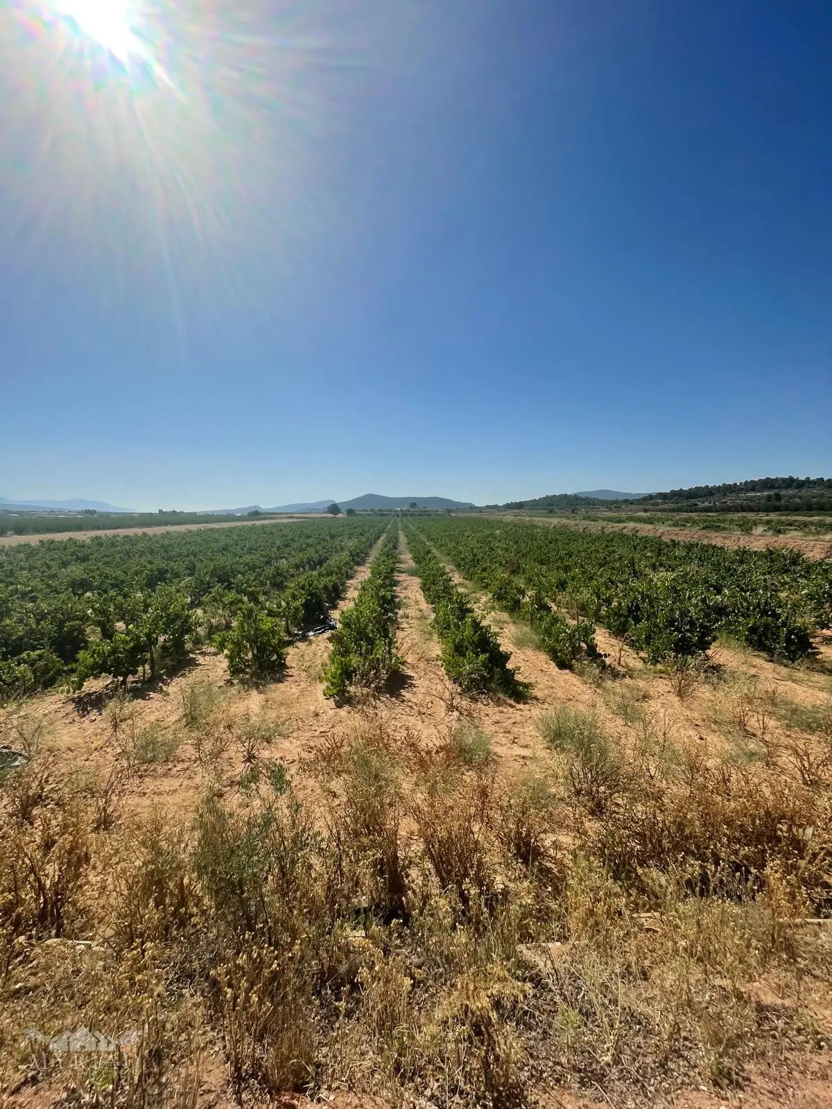 Land Of 0 M² In Úbeda, Spain