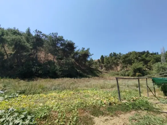Land In Thermaikos, Greece