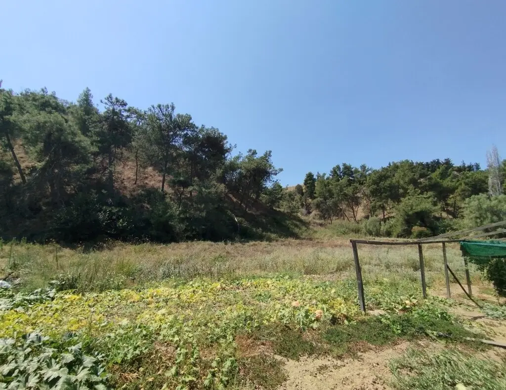Land Of 5500 M² In The Suburbs Of Thessaloniki
