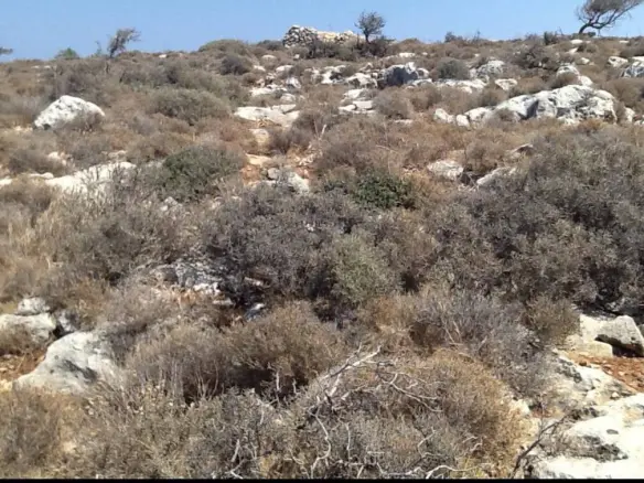 Land In Vamos, Greece