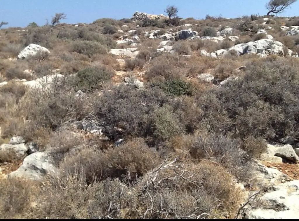 Land Of 10884 M² In Crete