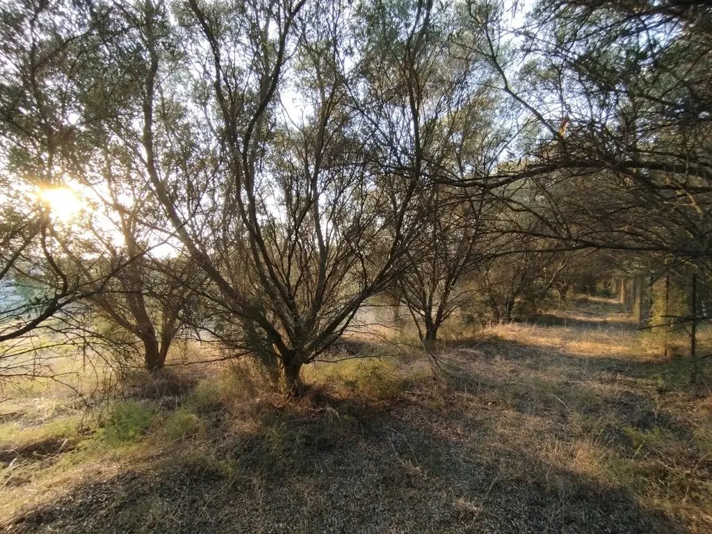 Land Of 825 M² In The Suburbs Of Thessaloniki