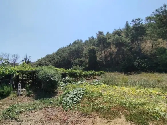 Land In Thermaikos, Greece