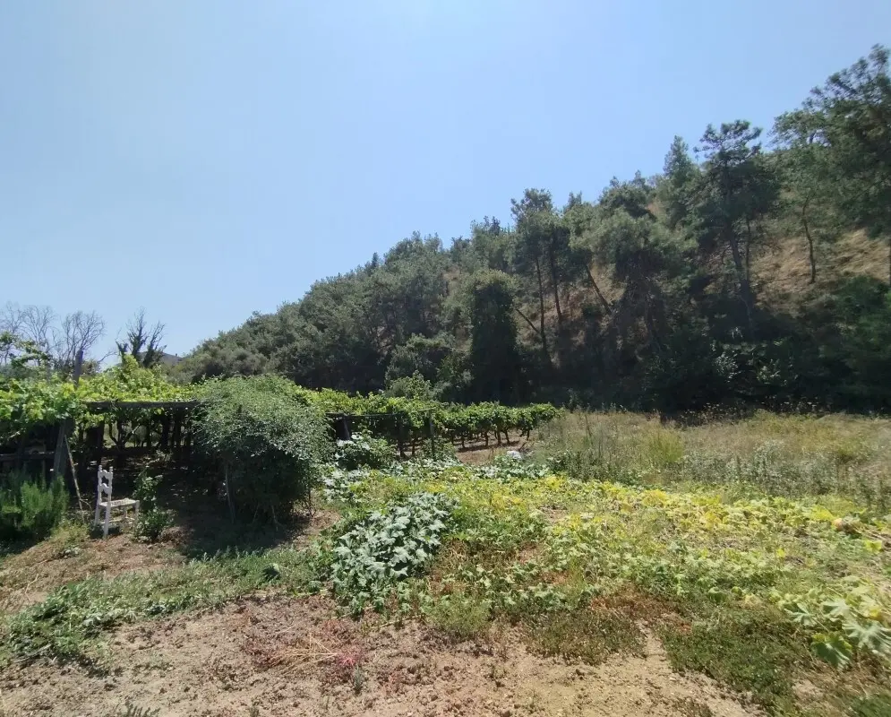 Land Of 5500 M² In The Suburbs Of Thessaloniki