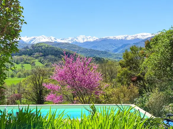 5-bedroom Country House In Soula, France (256 M²)