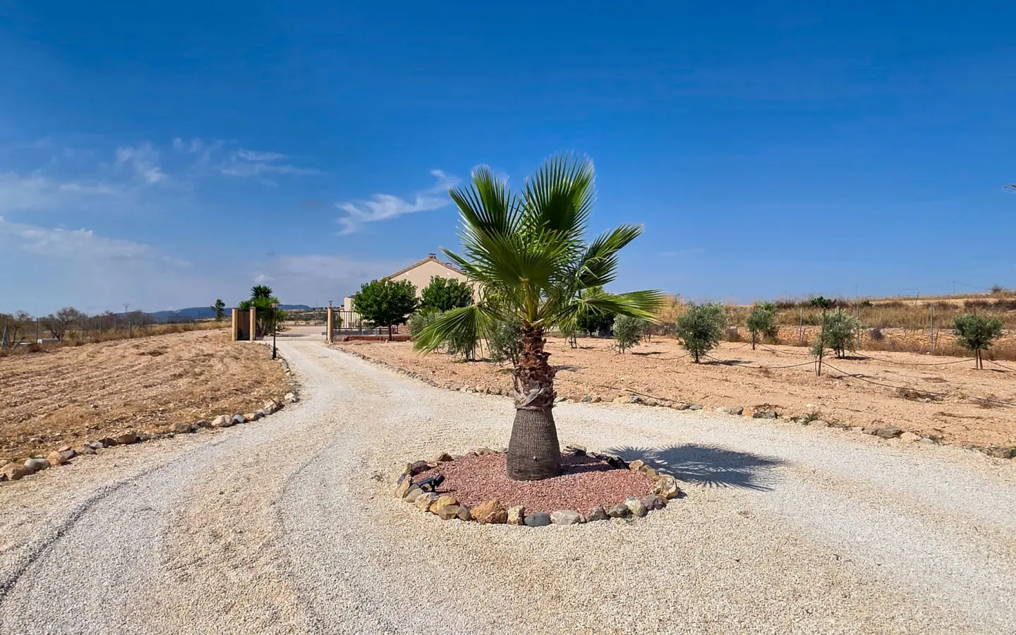 3-bedroom Detached Villa In Pinoso, Spain (112 M²)